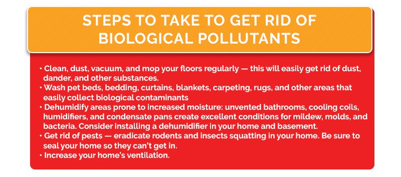 Infographic about steps to take to get rid of biological pollutants"